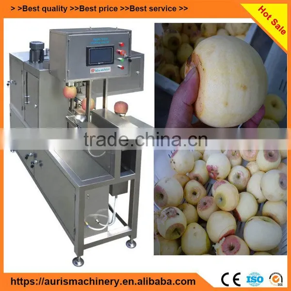 Factory Price Grapefruit/Papaya/watermelon Peeler Peel Peeling Machine photo-2