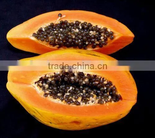 Papaya Fruit Microwave Vacuum Dryer photo-5