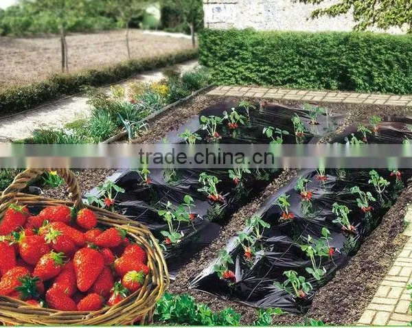 PE Plastic Agricultural Mulching Film photo-4