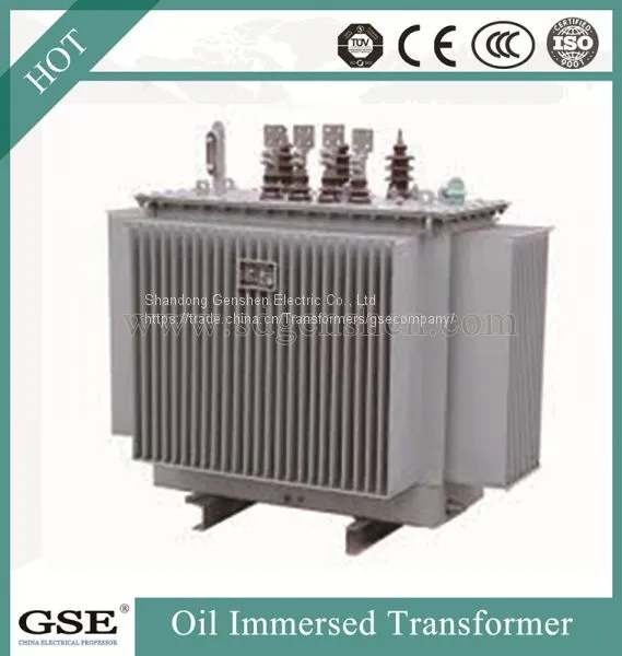 Power Transformer/Oil Immersed Power Distribution Transformer/800kVA Transformer