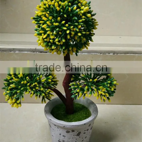 CHY060911 Guangzhou Shengjie High Quality Bonsai for Landscape photo-3