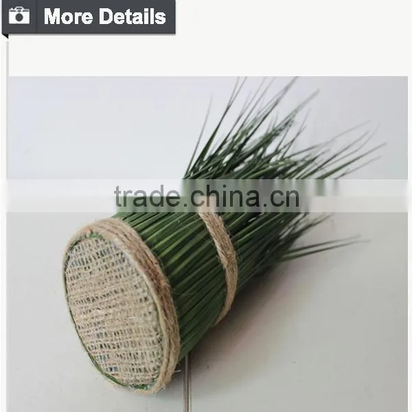 Hotsales Natural Cylinder Onion Grass for Garden Decoraction photo-5