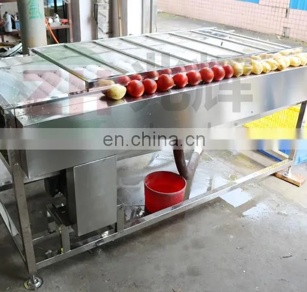 Commercial Sweet Potato Baby Carrot Tomato Onion Vegetable Orange Peach Apricot Blueberry Small Fruit Brush Washing Machine photo-4