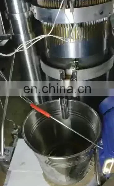 Hydraulic Peanut Oil Processing Machinery With Intelligent System