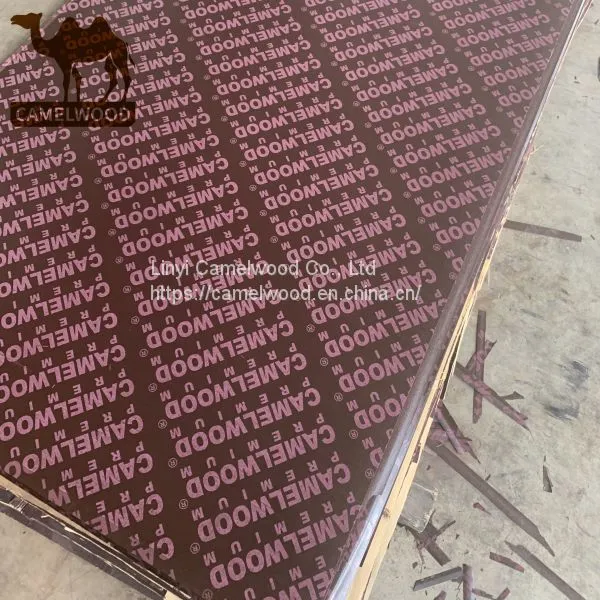 China Factory Supply Hot-selling 18 mm Film Faced Plywood photo-3