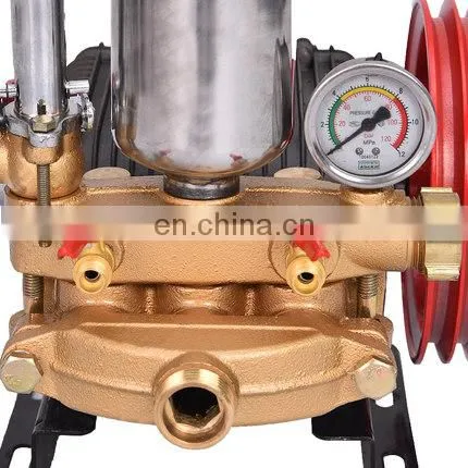 Truthworthy General Gasoline Engine Honda Plunger Pump Cheap and Hot Style photo-3