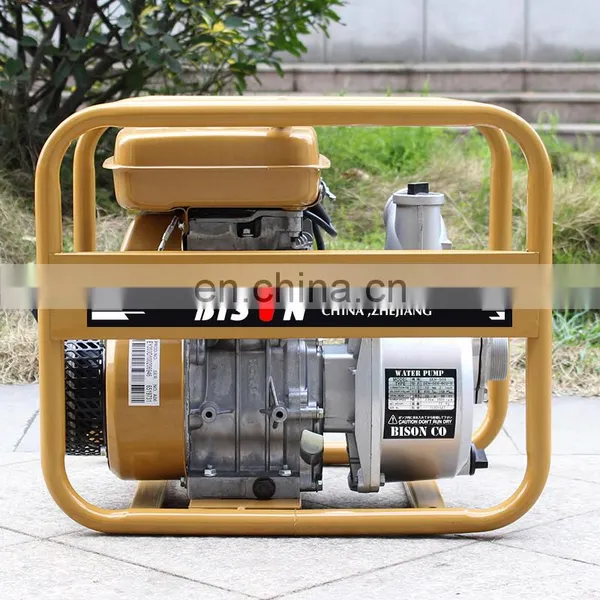 Water Pump by Petrol Robin Engine Gasoline Engine Water Pump Robin Ey15 photo-3