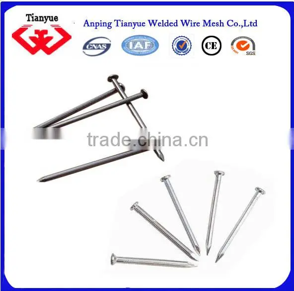 Stainless Steel Nails Manufacturer(15 Years Export Experience) photo-5