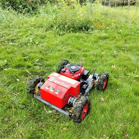Grass Cutter Price, China Grass Cutting Machine Price, Remote Slope Mower for Sale photo-2