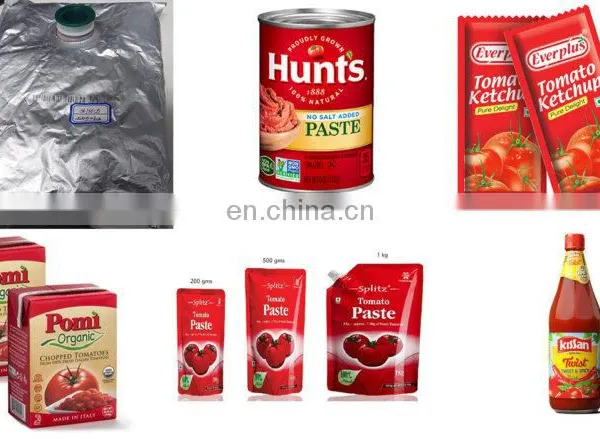 CHINA Factory Tomato Processing Line Tomato Deep Processing photo-2