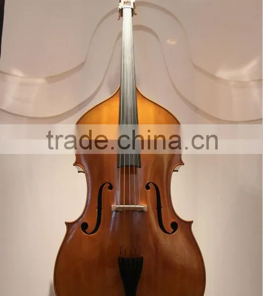 5 string advanced violin double bass