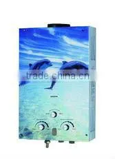 Gas Water Heater