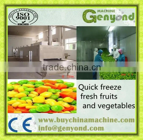 Instant freezer SD-800KG/H