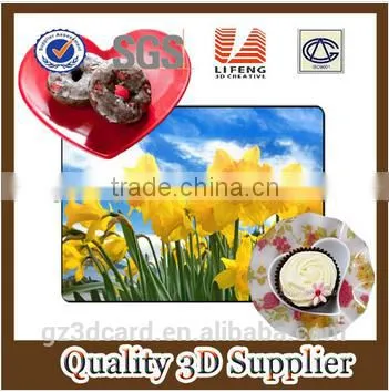 Advertising 3D Lenticular PP/PET Plastic Rubber Table Mat From China Facotry 2015 photo-5