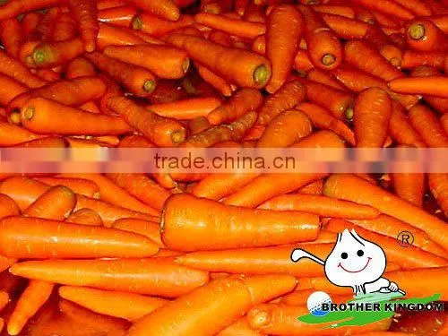 Fresh Carrot in Fresh Carrots,Organic Carrots photo-3