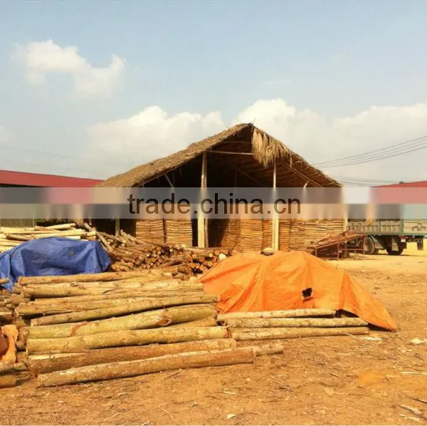 Acacia Core Veneer photo-2