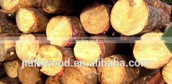 Southern Yellow Pine Logs photo-2