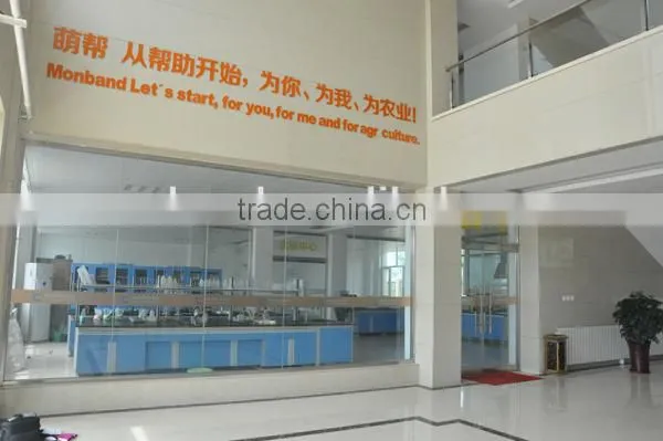 Organic Fertilizer Potassium Humate for Agriculture photo-2