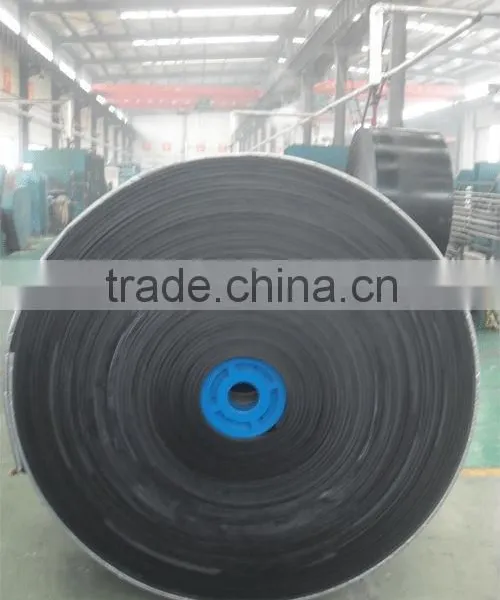 COMMON CONVEYOR BELT
