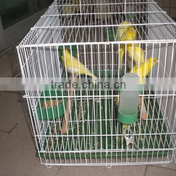Bird Cage photo-3