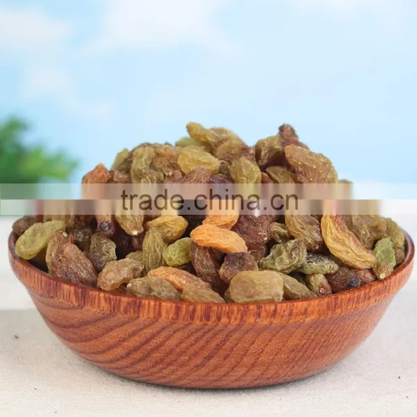 2015 Xinjiang Turpan Green Raisins Dried Grapes photo-2