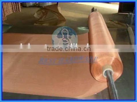 Hot Sale Galvanized Iron Wire Window Screen and Neting photo-5