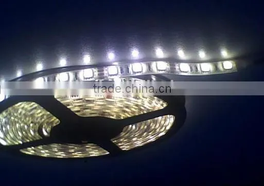 12V/24v 3528SMD 4.8W 5M CE Standard Red Color IP65 LED Strips photo-2