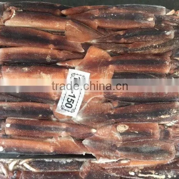 2016 New Frozen Illex Squid 100-150g for Sale