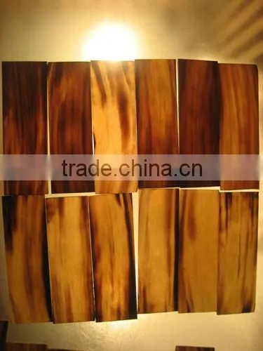 Buffalo Horn Blank Plate for Spectacles photo-6