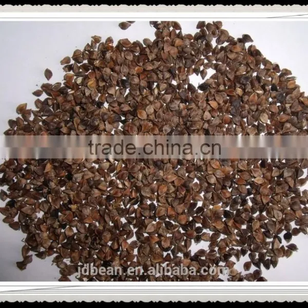 Buckwheat Market Price photo-4