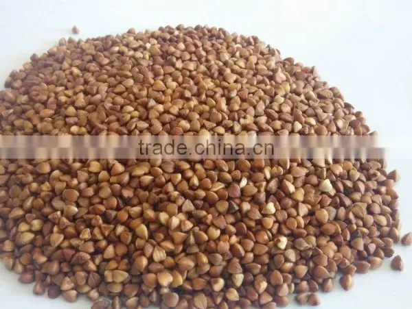 2016 Crop ---Roasted Buckwheat Kernels photo-2