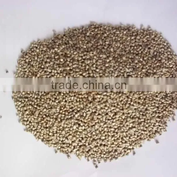 MILLET (BAJRA) photo-2