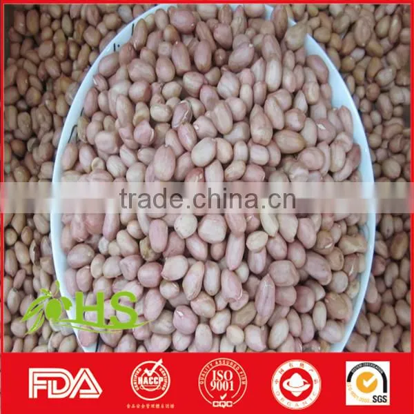 Fresh and New Blanched Peanut Kernel photo-2