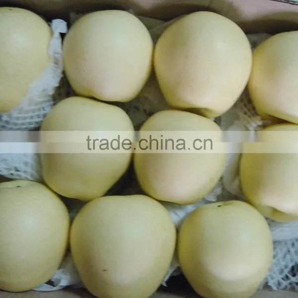 Chinese Golden Pear 9kg 18kg Carton photo-3