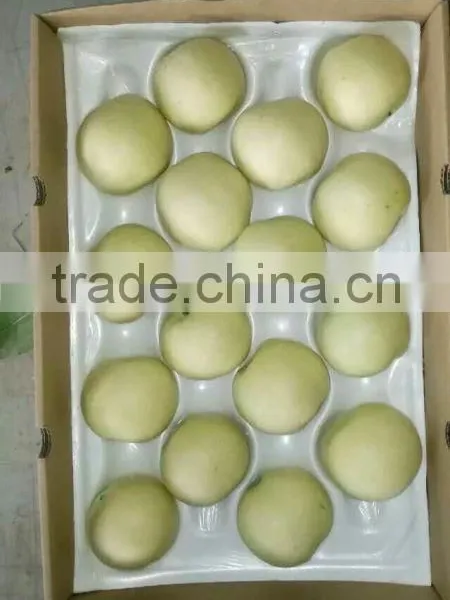 China Seasonal Fruit Asian Pear photo-4