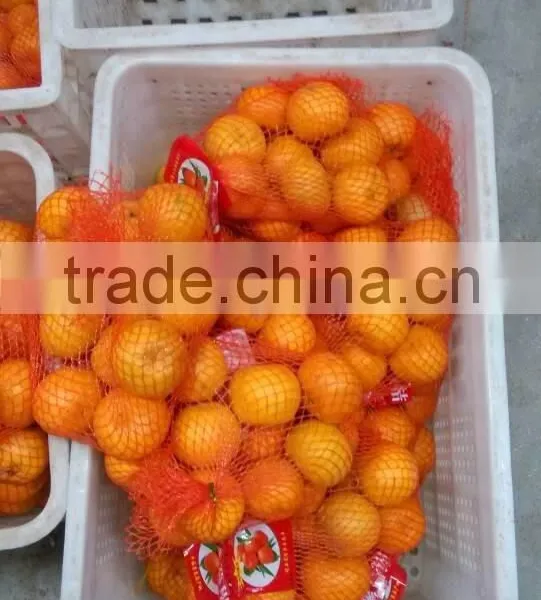 Chinese Fresh Mandarin Orange photo-2