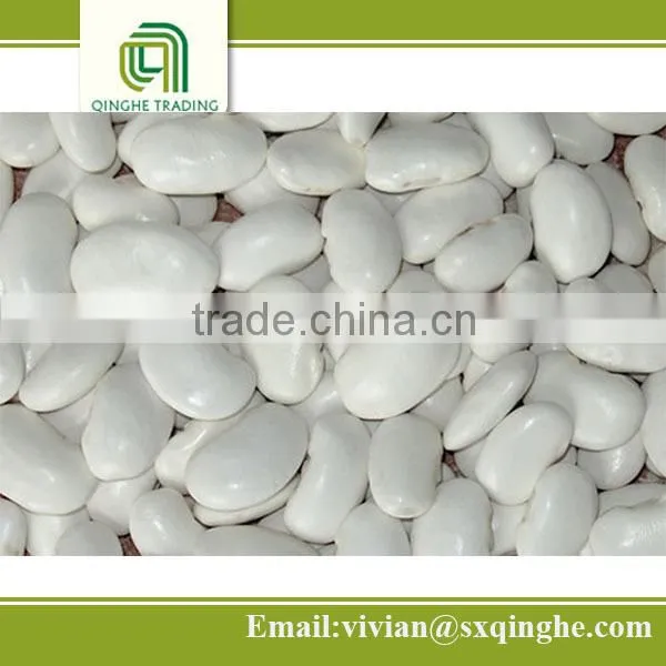 Bulk Beans, White Kidney Beans, Kidney Beans Price