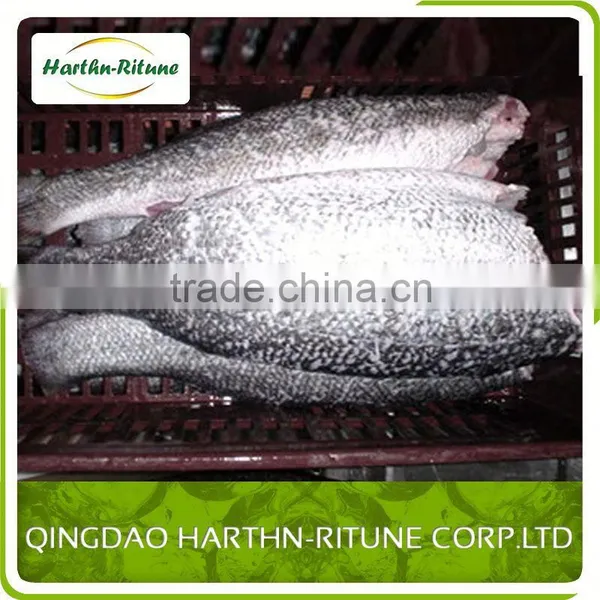 Iqf Frozen Tilapia Fillet Fish Wholesale photo-4