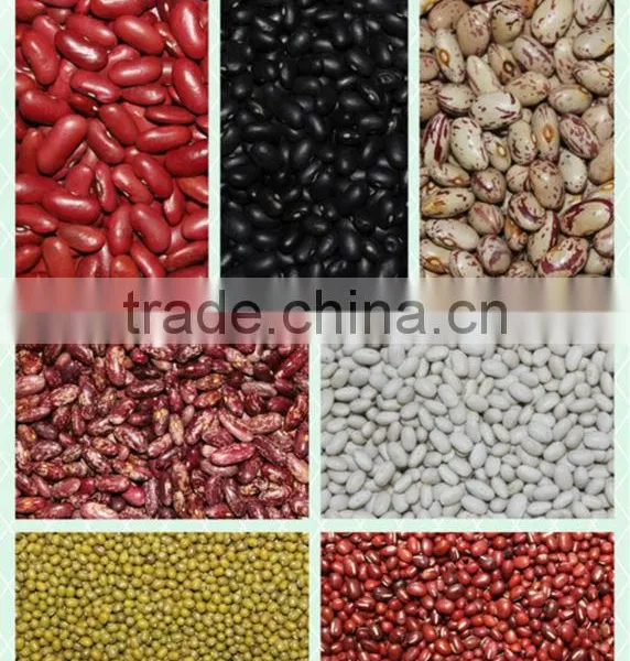 Non-Gmo Pulses and Grains, All Kinds of Kidney Beans