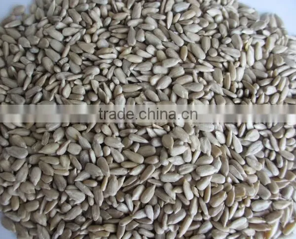 Surpplying Sunflower Kernels for Distributors Wholesalers photo-2