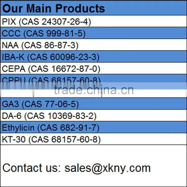 High Purity Plant Growth Regulator Compound Sodium Nitrophenolate 98% TC Supplied by Top Factory in China photo-6