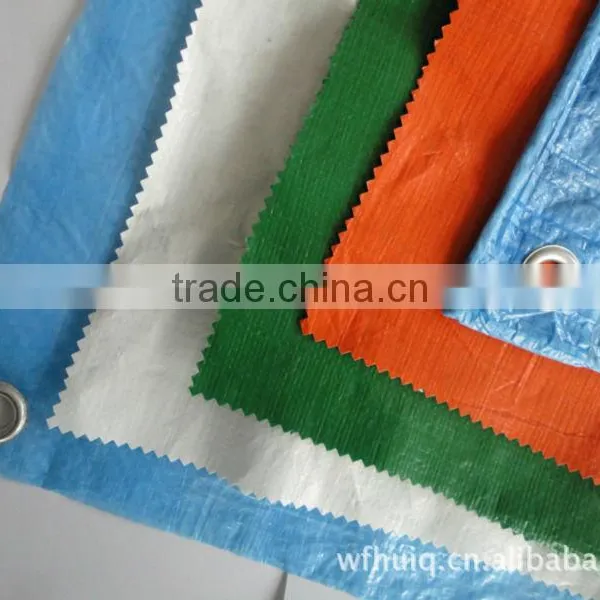 Blue Pe/pp Tarpaulin for Tent Truck Tarp