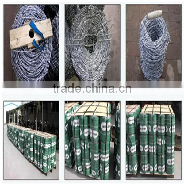 Galvanized PVC Coating Barbed Wire photo-3