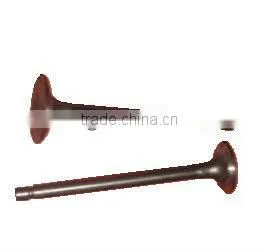 Engine Valve FOR DFM K07