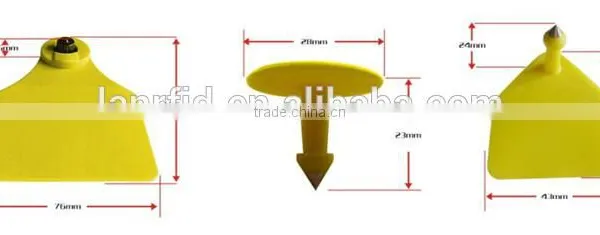Animal Plastic Ear Tag/ RFID Animal Ear Tag for Livestock photo-3