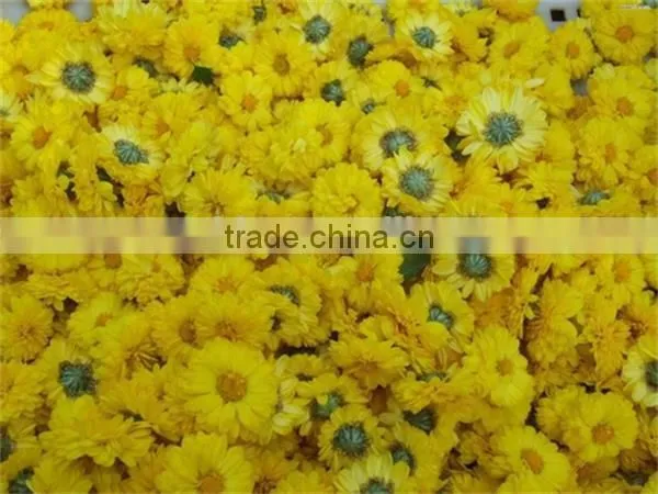 Flower Dryers / Flower Drying Machine photo-3
