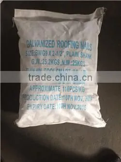 Coil Roofing Nail photo-6