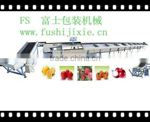 onion grading machine/sizing machine