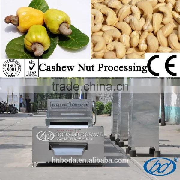 Grain Processing Equipment Type Cashew Nut Processing