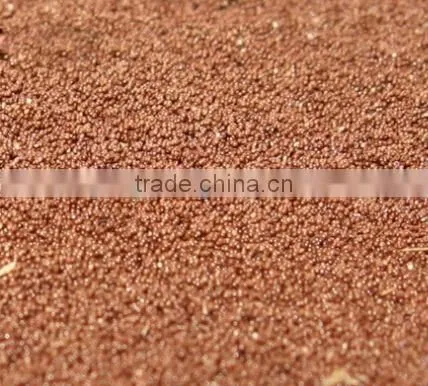 Wholesale Fish Food/aquarium Product photo-6